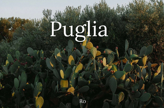 Seeking Ro's Essential Guide to Slow Travel in Puglia